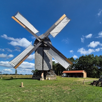 Bild der Bockwindmühle Neuenknick auf dem Lusebrink