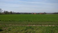 IMG_20220412_135616